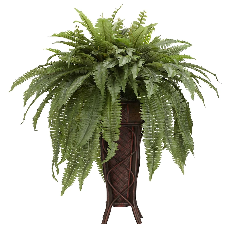 3ft. Boston Fern Plant in Stand