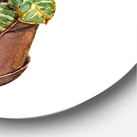 Designart - Croton In Clay Flowerpot