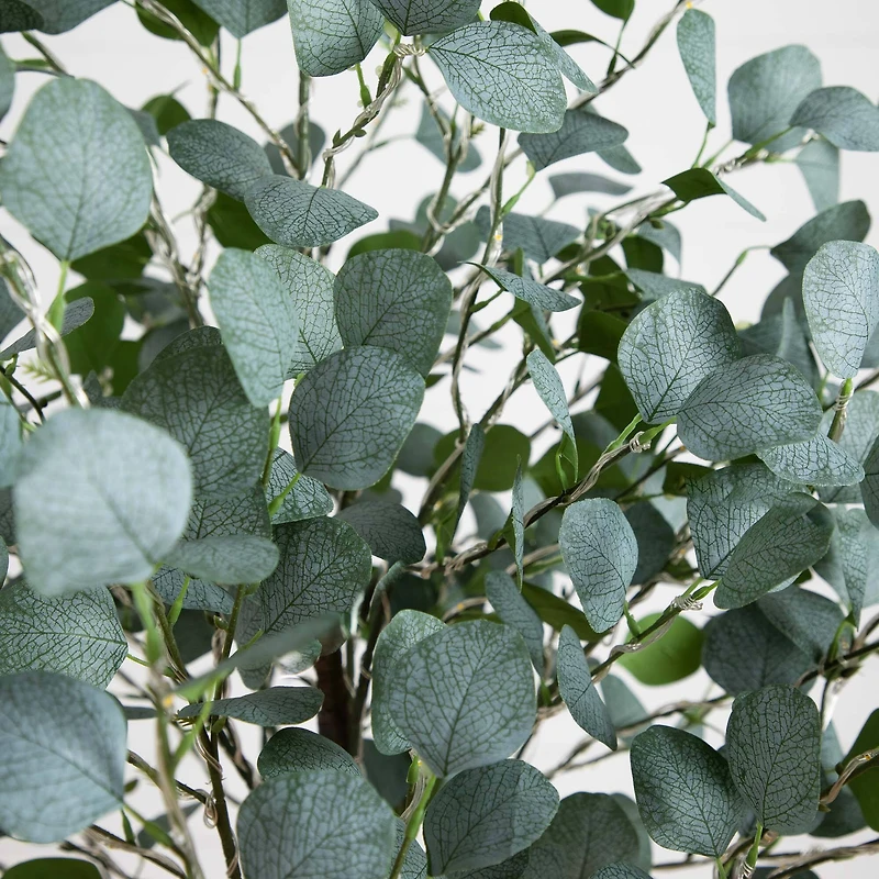 6ft. Pre-Lit Artificial Eucalyptus Tree with Warm White LED Lights