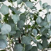 6ft. Pre-Lit Artificial Eucalyptus Tree with Warm White LED Lights
