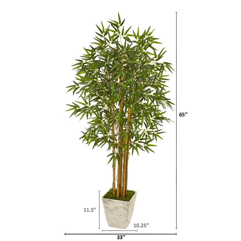 5.5ft. Bamboo Tree in Country White Planter