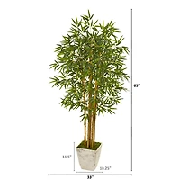 5.5ft. Bamboo Tree in Country White Planter