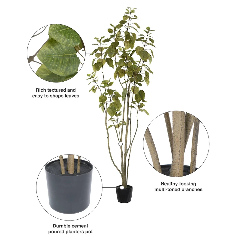 6ft. Potted Green Smoke Tree