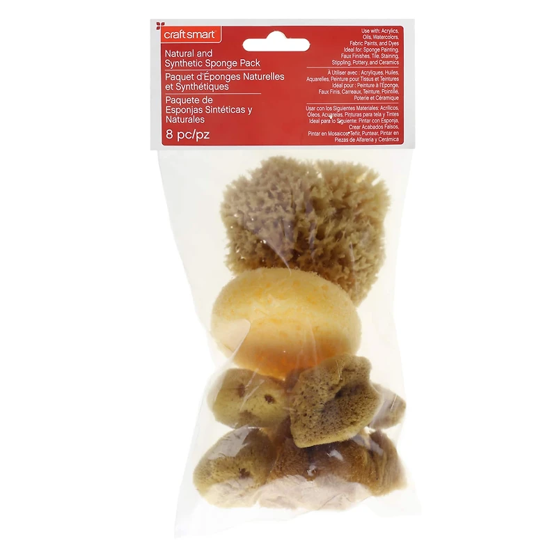 Variety Sponge Value Pack by Craft Smart®