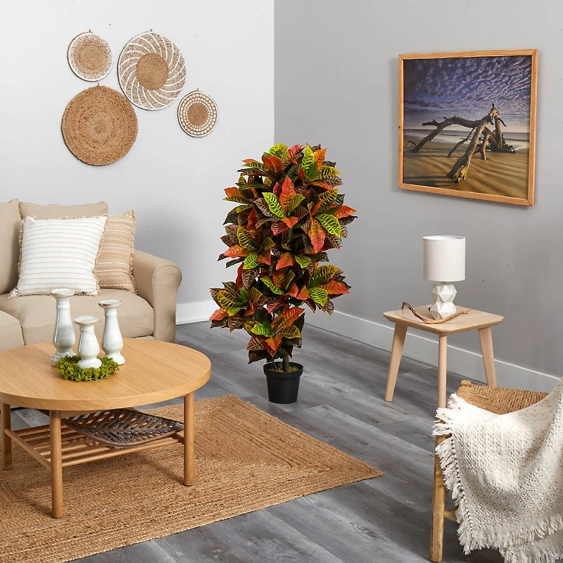 4.5ft. Potted Croton Plant