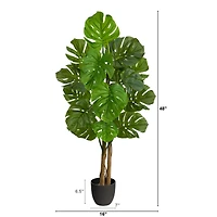 4ft. Potted Monstera Tree