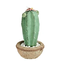 13.75" Southwestern Style Potted Cactus with Flowers