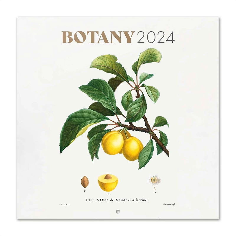 TF Publishing 2024 Botany Bilingual Wall Calendar
