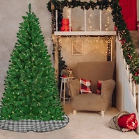 6ft. Pre-Lit Acacia Artificial Christmas Tree, Clear Lights
