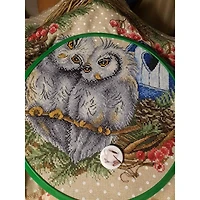 MP Studia Owl Devotion Cross Stitch Kit