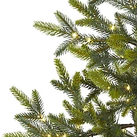 4ft. Pre-Lit Fraser Fir Artificial Christmas Tree, Clear LED Lights