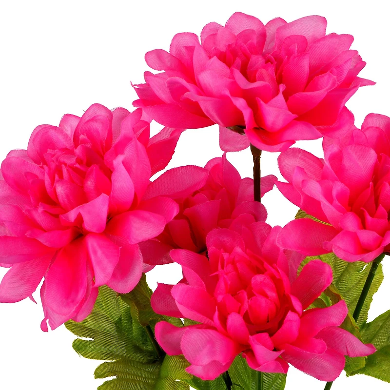 12" Dahlia Bush by Ashland