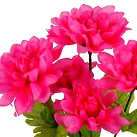 12" Dahlia Bush by Ashland