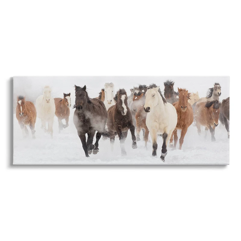 Stupell Industries Wild Horses Herd Foggy Winter Day Canvas Wall Art