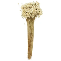 13" Natural Campo Flowers by Ashland®