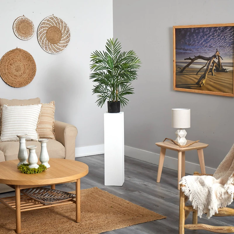 2.5ft. Potted Areca Palm