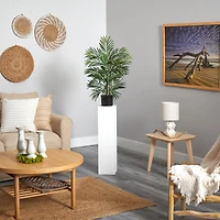 2.5ft. Potted Areca Palm