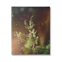 Stupell Industries Winter Snowfall Night Pine Tree Canvas Wall Art