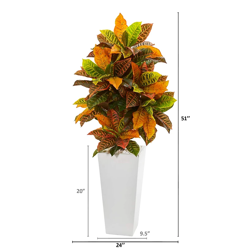 4.25ft. Croton Plant in White Tower Planter