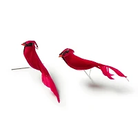 Cardinal Birds by Ashland®