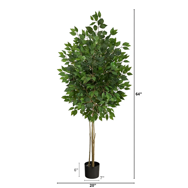 5.5ft. Potted UV Resistant Ficus Tree