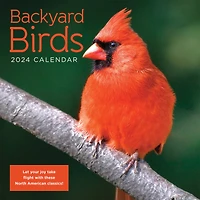 TF Publishing 2024 Backyard Birds Wall Calendar