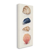 Stupell Industries Ocean Life Sea Shells Soft Beige Sand Canvas Wall Art
