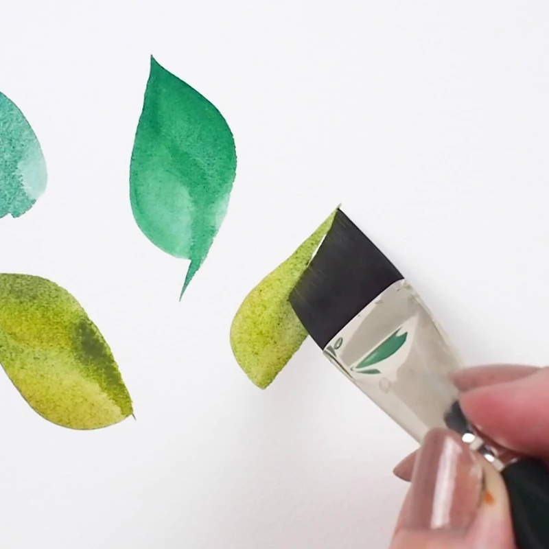 Silver Brush Limited Ruby Satin® 5 Piece Angles Brush Set