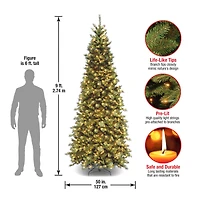 9ft. Pre-Lit Tiffany Fir Slim Tree, Clear Lights