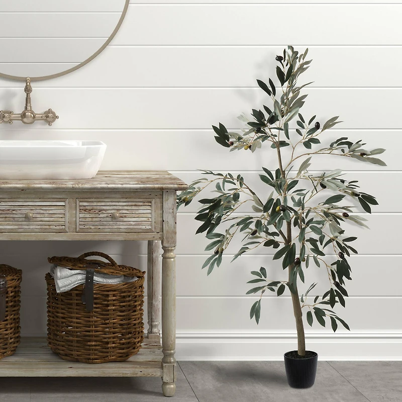 4ft. Potted Olive Tree