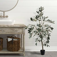 4ft. Potted Olive Tree