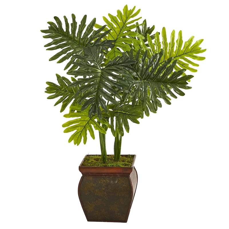 3.5ft. Philodendron Plant in Decorative Planter