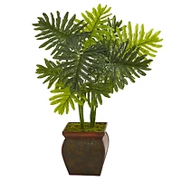 3.5ft. Philodendron Plant in Decorative Planter