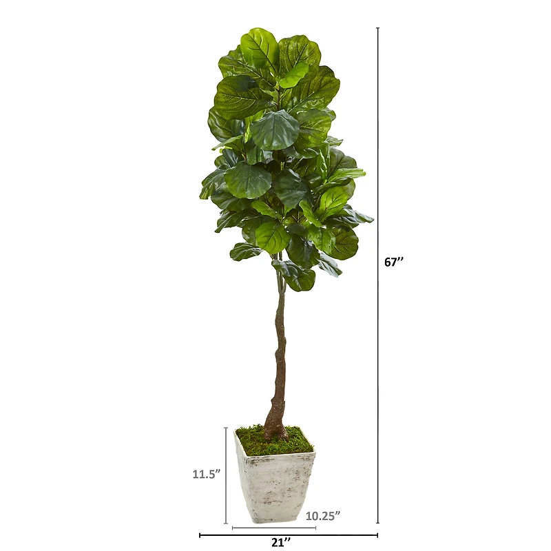 5.6ft. Real Touch™ Fiddle Leaf Tree in Country White Planter