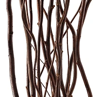 12 Pack: Natural Curly Willow by Ashland