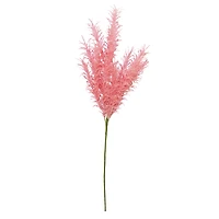 6 Pack: Peach Pampas Grass Stem by Ashland®