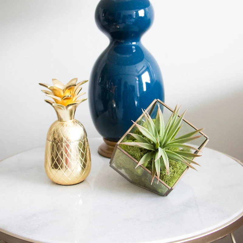 12 Pack: Spring Green Reindeer Moss by Ashland®