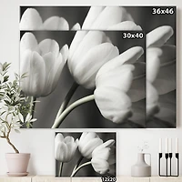 Designart - Row Of Bw Tulips