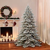 7.5ft. Pre-Lit Flocked Royal Majestic Fir Artificial Christmas Tree, Clear Lights