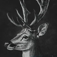 8" x 10" Reindeer Canvas Wall Décor by Ashland®