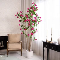 8ft. Potted Pink Minimalist Bougainvillea Tree