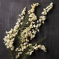 Cream Hanging Berry Stem by Ashland®