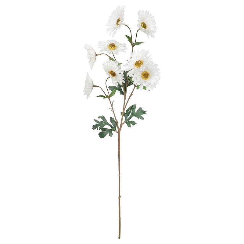 White Daisy Stem by Ashland®
