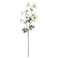 White Daisy Stem by Ashland®