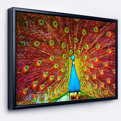 Designart - Peacock Dancing