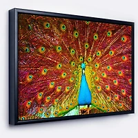 Designart - Peacock Dancing