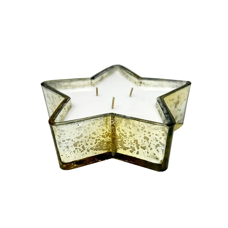 10oz. Frosted Berries Scented Glass Star Candle by Ashland®