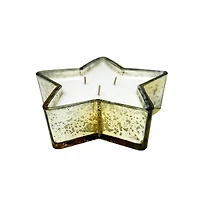 10oz. Frosted Berries Scented Glass Star Candle by Ashland®