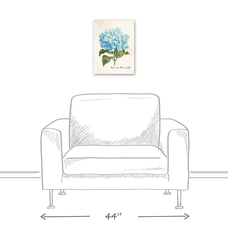 Hydrangea Illustration 12" x 16" Canvas Wall Art