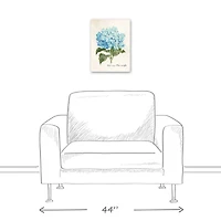 Hydrangea Illustration 12" x 16" Canvas Wall Art